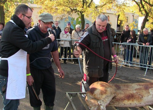 Kolbászfesztivál 2015