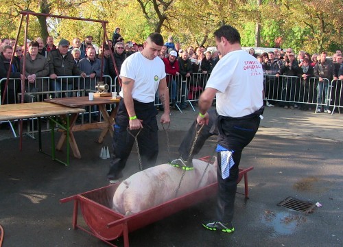 Kolbászfesztivál 2015