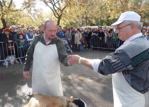 Kolbászfesztivál 2015